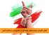 نقش کلیدی سیاست‌های فرهنگی در همزیستی مسالمت‌آمیز